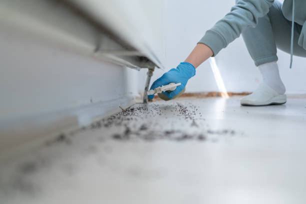 Bryan, TX Pest Control Company